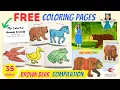 Brown Bear Brown Bear What Do You See Book Read Aloud Sing Along Learn Colors for Toddlers