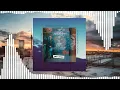 Jann Dusza - The Bongo King [Bonus Track] (Visualizer) - "The Raver And The Catwoman"