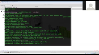 213 Gnuplot Part III