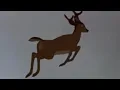 BAMBI GETS SHOT SHORT