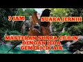 Download Lagu 3 JAM FULL MASTERAN CILILIN DENGAN JEDA DAN GEMERICIK AIR