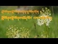 Download Lagu Satha Ringsa Choe Ya Maso by Pema Deki and Jigme Norbu Wangdi