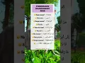 Download Lagu Perkenalan Dalam Bahasa Arab #bahasaarab #bahasaarabmudah #shorts #bahasaarabonline