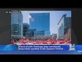 Flock Of Pink Flamingo Lawn Ornaments Lands In Seaport District