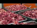VIVID MEAT 2023
