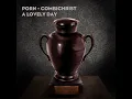 A Lovely Day (Combichrist Remix) - PORN & Combichrist