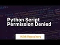 python script permission denied