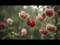 Soft Rain in a Beautiful Garden 🌧️ Deep Sleep Inducing White Noise #012 | 4K