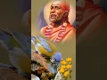 Download Lagu Sai Baba Bolo Song
