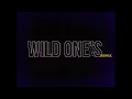Lagu Kng Ego - Wild One's \