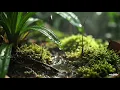 Download Lagu Relaxing For Sleep #rain