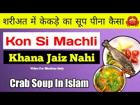 Kekre Ka Soup Peena Kaisa | Kekde Ka Soop Haram Or Halal | Crab Soop In Hanafi Fiqh | Crab In Islam