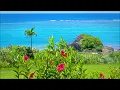 ポール・モーリア「恋はみずいろ」：映像：「のばれ岬観光農園」（石垣島）