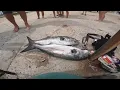 Big blue fish at Indian River Inlet