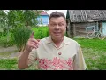 Download Lagu 259-й выпуск \