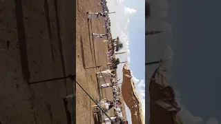 جدو عباس الفاضلاب زمراوي 