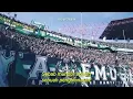 Download Lagu story wa suara bonek #storywa #setyastory #persebaya #bonekmania
