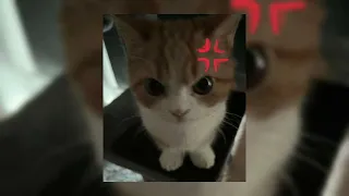 Плейлист крутых песен Speed Up 