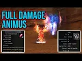 Download Lagu Full Damage ANIMUS LV 76 + Rare M Weapon : RF Online Official Update