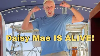 Bringing Daisy Mae Back to Life-Engine Oil Leak Repair