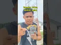 Download Lagu Labubu bikin kalian gatal #sulap #magic #sihir #shortvideo