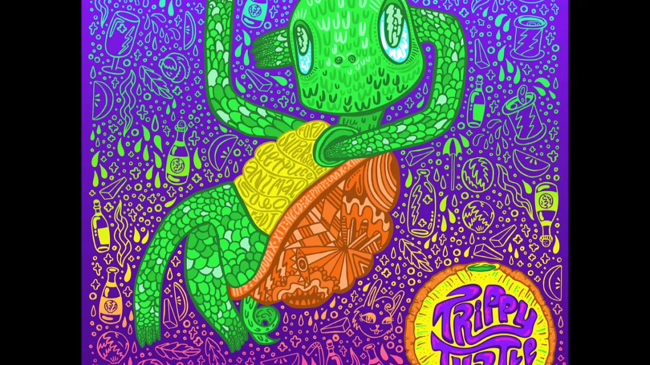 Trippy Turtle - Super Song ft. Disco Duck Trippy Turtle - Super Song ft. Disco Duck