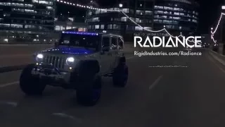 RIGID Radiance - LED Light Bar with Back-lighting