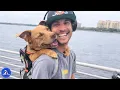 This Dog Lived His Entire Life in a Cage Until Freedom Changed Everything