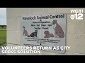 Five volunteers return as Havelock works on new animal shelter policy