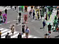 Multiple Object Tracking Demo