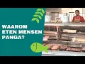 Download Lagu Wat denken consumenten en visverkopers van pangasius?