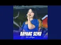 Download Lagu Bayang Semu