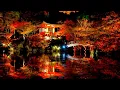 Download Lagu Japanese Zen Music for Healing and Relaxing / Koto, Niko , Kokyu , Rin Download Lagu Japanese Zen Music for Healing and Relaxing / Koto, Niko , Kokyu , Rin