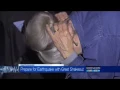 KBNZ CBS Bend 10-21-2016 Portland Prepare Out Loud and Great ShakeOut