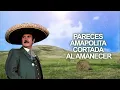 Antonio Aguilar – El Ausente (Letra Oficial)