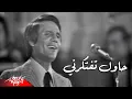 Download Lagu Abdel Halim Hafez - Hawel Teftekerny | Live Concert - عبد الحليم حافظ - حاول تفتكرني | حفلة