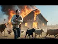 Lagu Ly Tu Tien Farm Fire – Animals Trapped, Dramatic Rescue