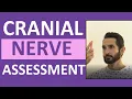 Cranial Nerve Examination Nursing Cranial Nerve Assessment I-XII 1-12