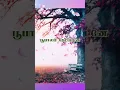 Download Lagu Paramal Partha 🌼♥️#vijaykanth #ilayarajasongs #tamilsonglyrics #kschithra #chitra #spb  #ilayaraja