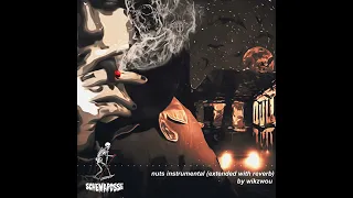 lil peep nuts feat rainy bear instrumental extended with reverb 