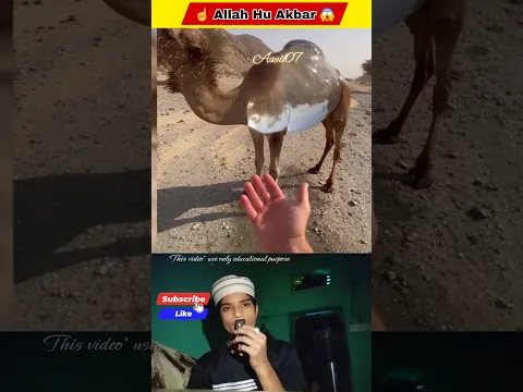 Islamicvlog #islamicvlog #youtubeshorts #islam #reaction