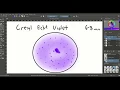 Histotutor Chapter 9 Nerve Tissue