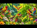 Relaxing Music with Birds Chirping | Beautiful Nature Sounds for Calmness