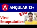 View Encapsulation in Angular 12 View Encapsulation in Angular 12 Tutorial and Guides Encapsulat