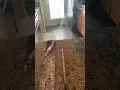 Reading Your Smoke