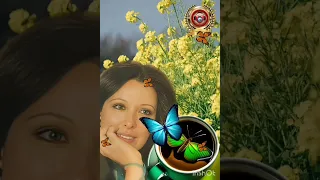 نجاة الصغيره   فاكره دندنها