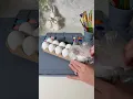 Easter egg painting station