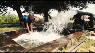 مصطفي ابو رواش  افتح بابك  دندنها