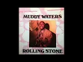 Muddy Waters - Baby Please Don't Go