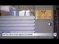 Punta Gorda s Wyvern Hotel staff returns after hurricanes Helene and Milton